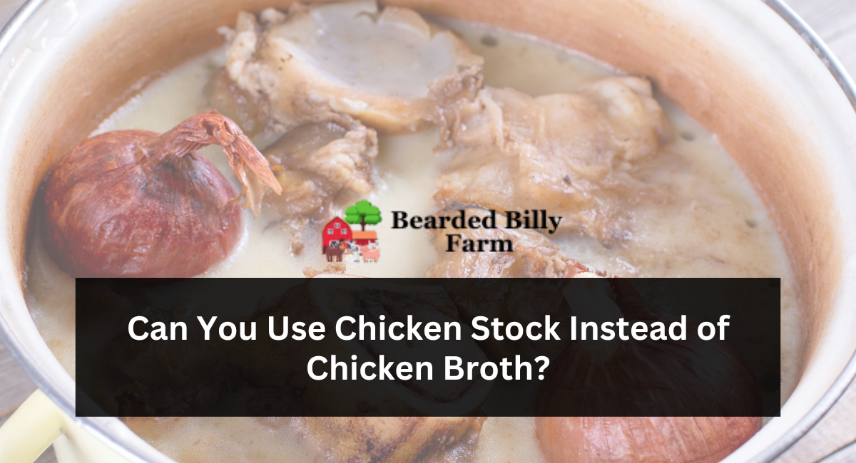 Can You Use Chicken Stock Instead of Chicken Broth?