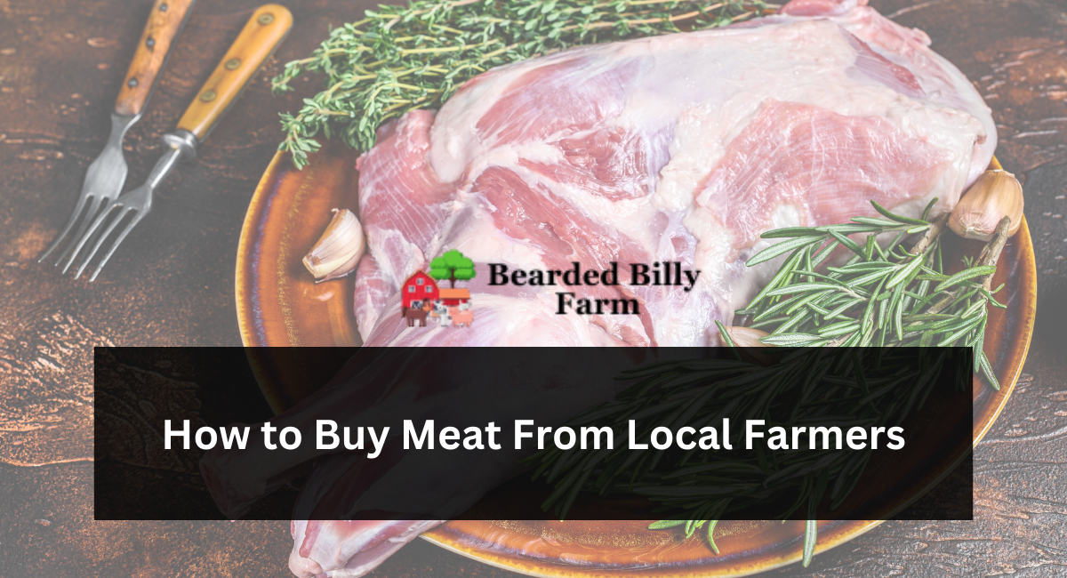 How to Buy Meat From Local Farmers